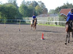 img_0181_web